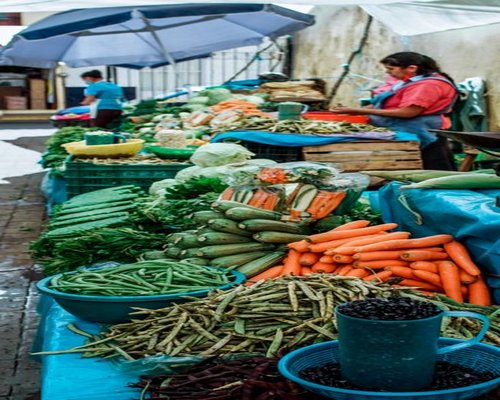 Fresh local Mexican ingredients including avocados, nopales, and corn on a market table